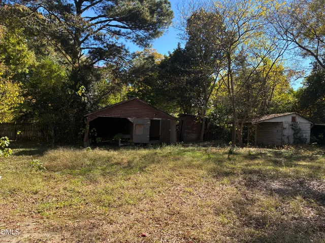 a tall tree in middle of the middle of the yard