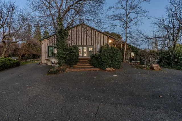 a view of a yard with plants and trees