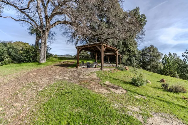 a view of a park with large trees