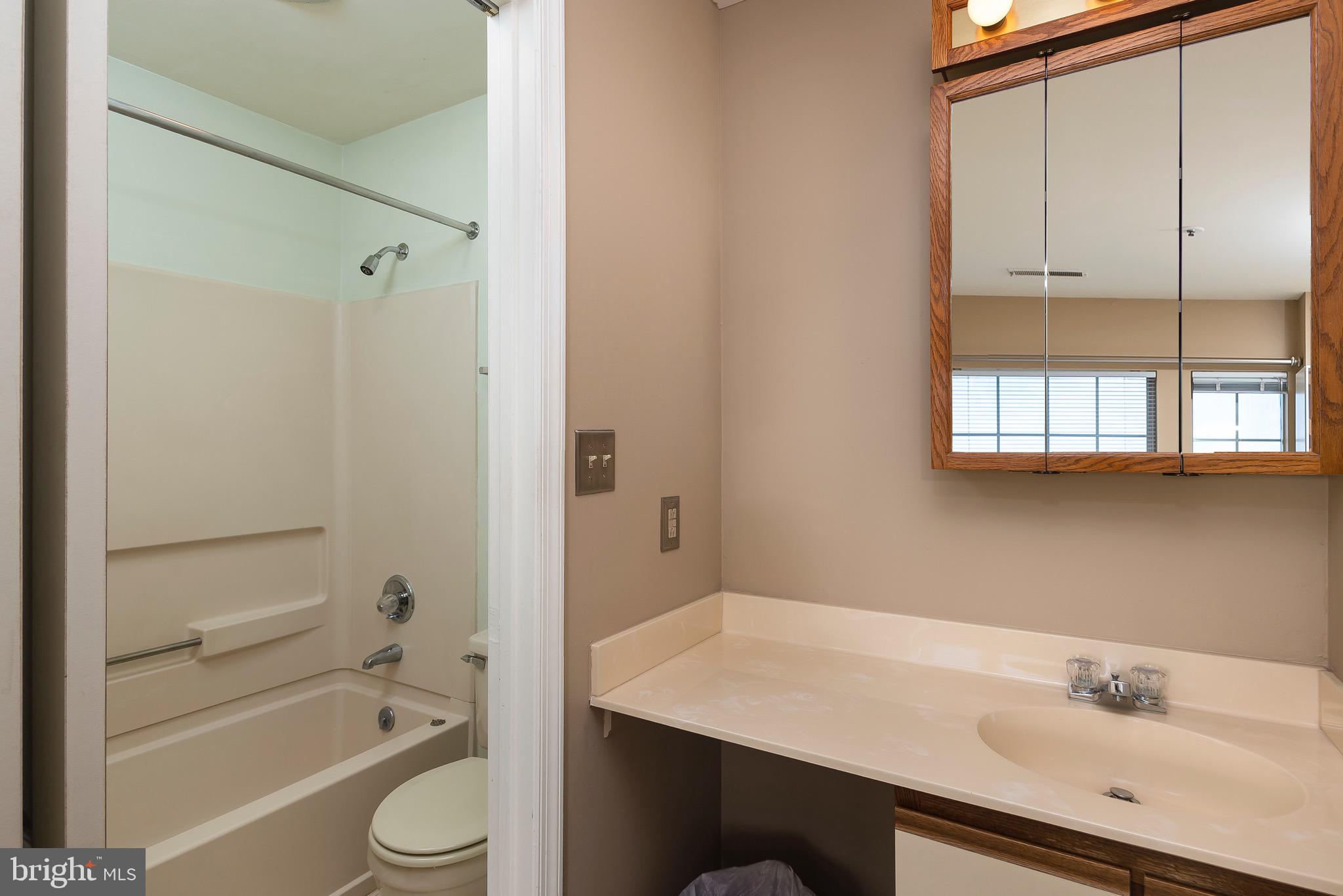 8382 Montgomery Run Road, Unit F Ellicott City, MD 21043 - Photo 18 of 22 Owner's bathroom and vanity