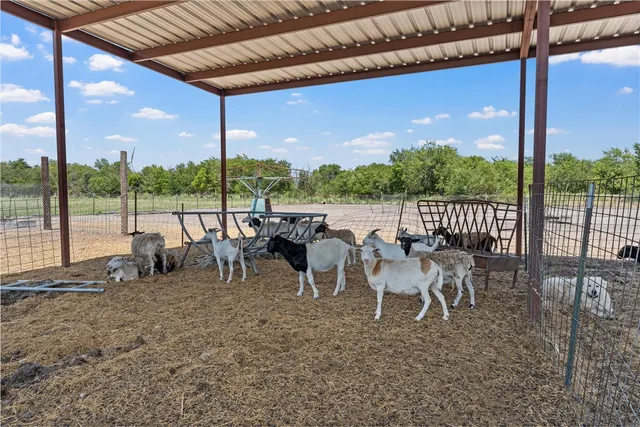 $900,000 | 455 Lcr 318, Mart, TX 76664