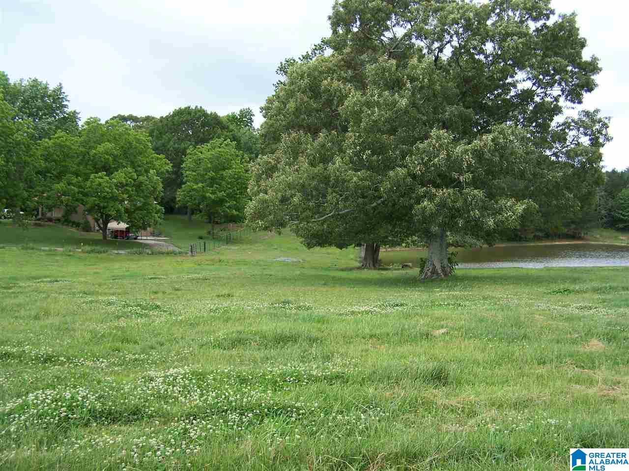 1595 Robin Hill Road Oneonta, AL 35121 - Photo 4 of 48