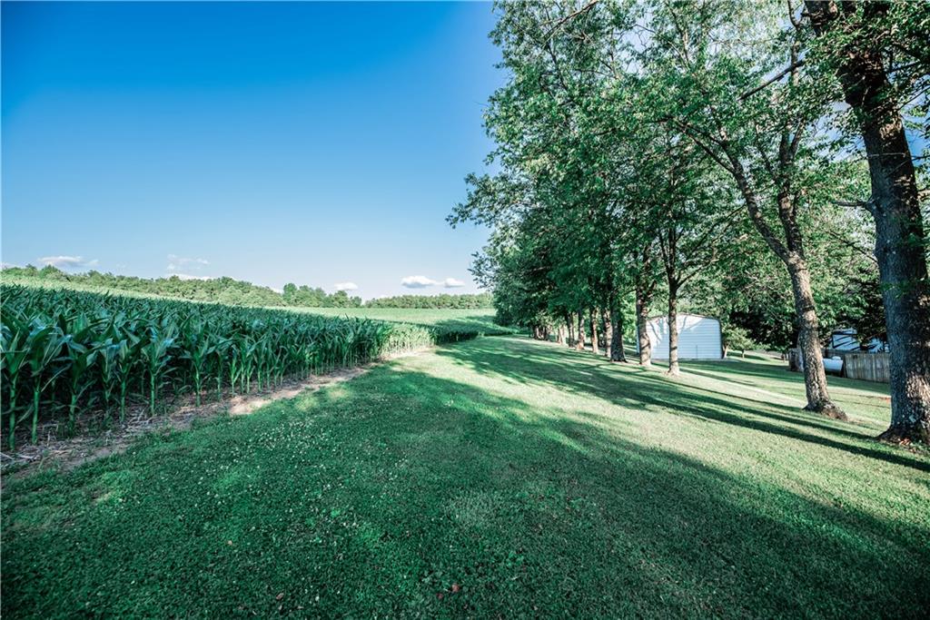 1146 McCreight Road Shelocta, PA 15774 - Photo 6 of 25