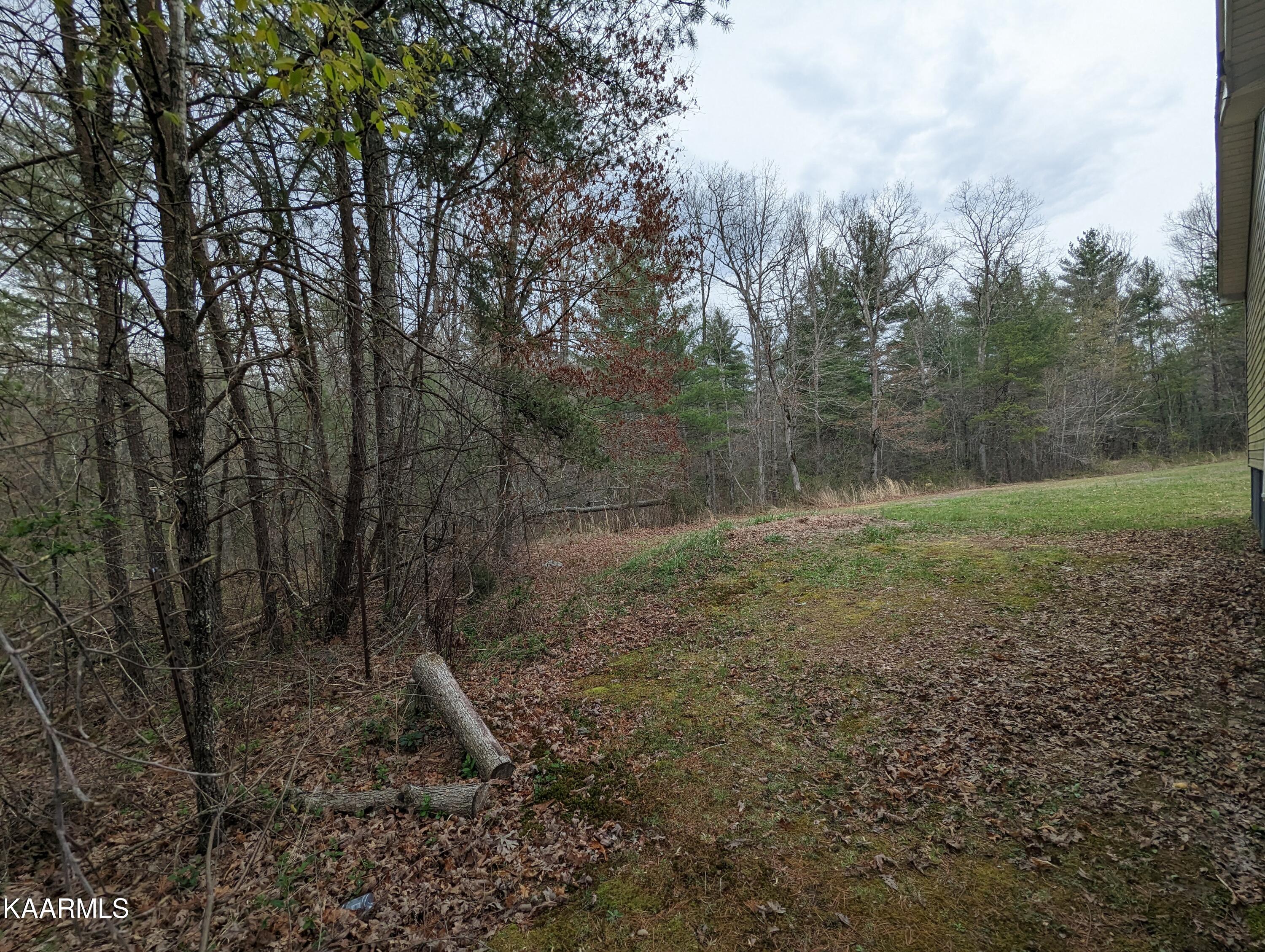 218 Price Road Lancing, TN 37770 - Photo 5 of 22 Big yard
