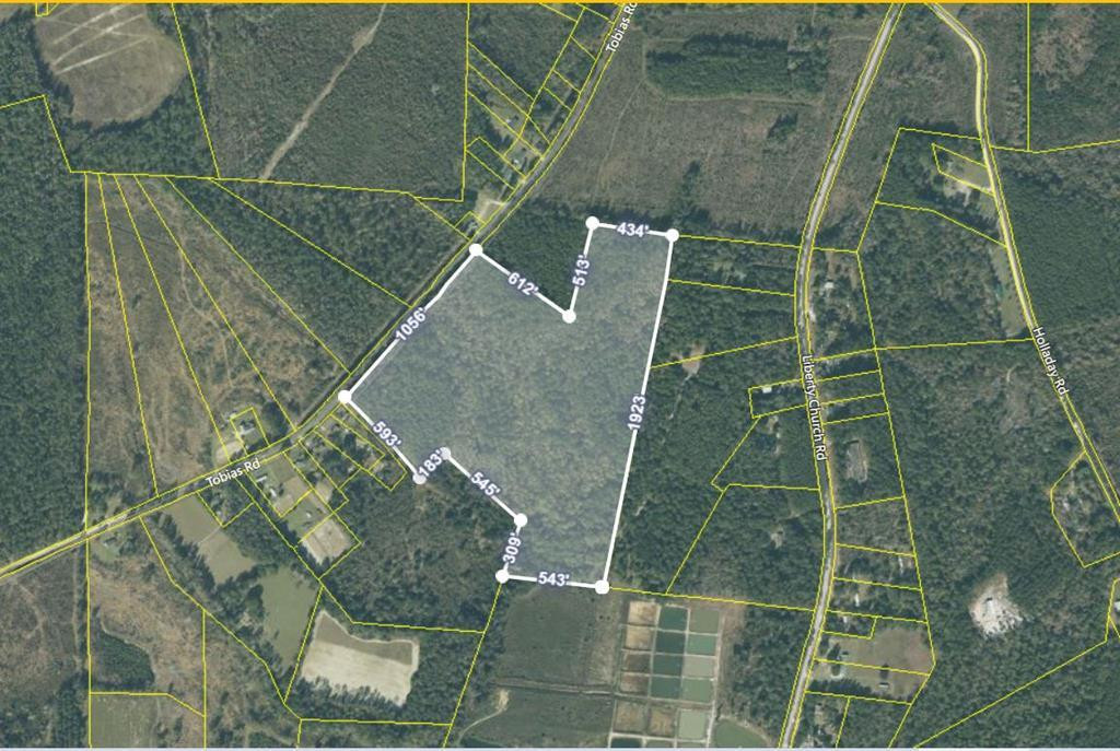 0 Tobias Road Manning, SC 29102 - Photo 1 of 8