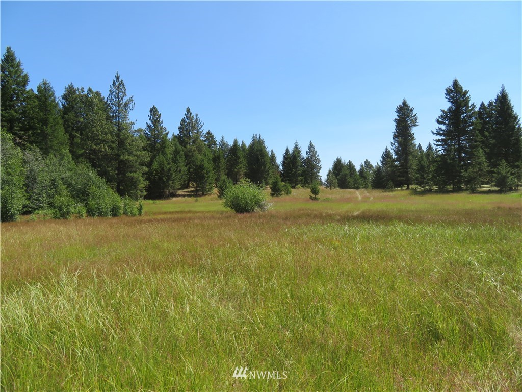 5 Bonaparte Run Road Tonasket, WA 98855 - Photo 1 of 11 Gallery Image 1
