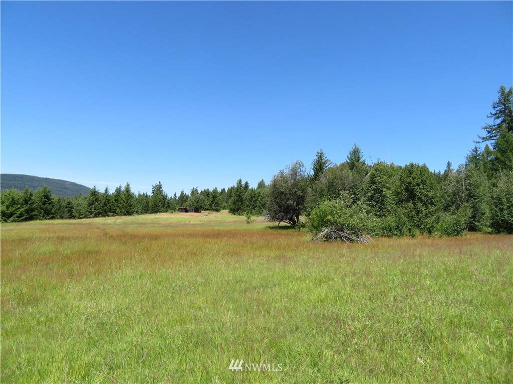 5 Bonaparte Run Road Tonasket, WA 98855 - Photo 11 of 11 Gallery Image 11