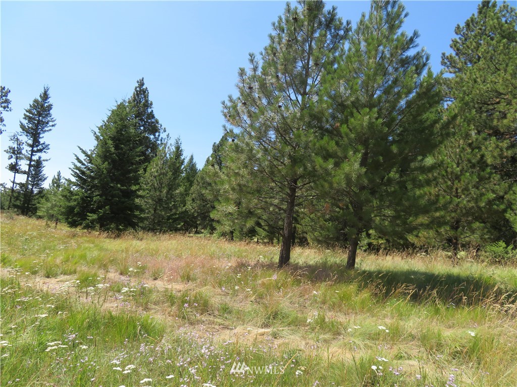 5 Bonaparte Run Road Tonasket, WA 98855 - Photo 3 of 11 Gallery Image 3