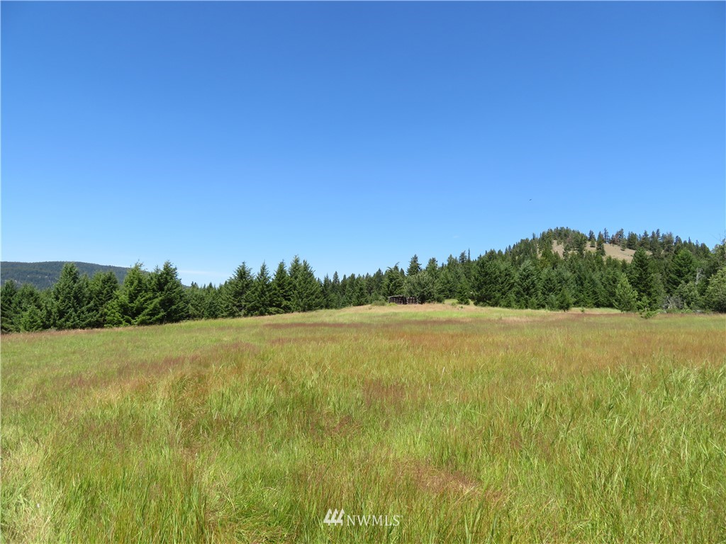 5 Bonaparte Run Road Tonasket, WA 98855 - Photo 4 of 11 Gallery Image 4