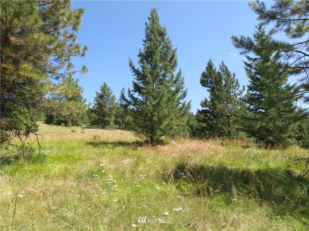5 Bonaparte Run Road Tonasket, WA 98855 - Photo 5 of 11 Gallery Image 5