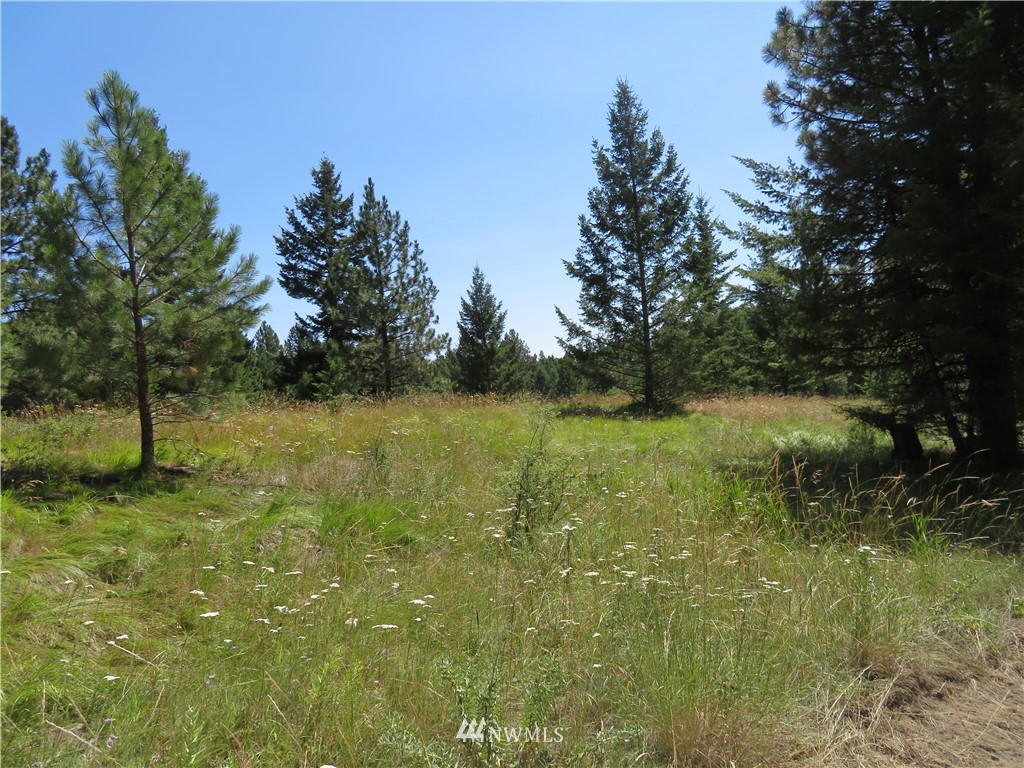 5 Bonaparte Run Road Tonasket, WA 98855 - Photo 6 of 11 Gallery Image 6