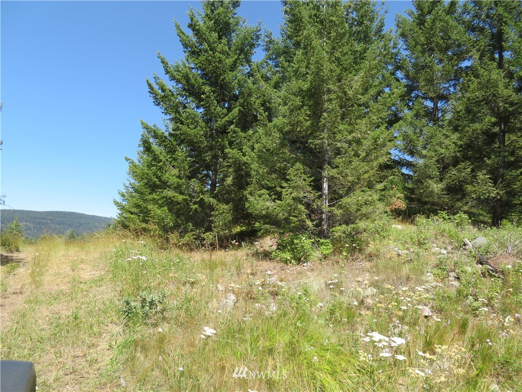5 Bonaparte Run Road Tonasket, WA 98855 - Photo 7 of 11 Gallery Image 7
