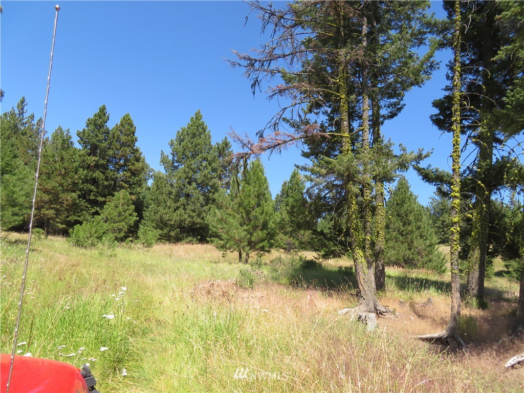 5 Bonaparte Run Road Tonasket, WA 98855 - Photo 8 of 11 Gallery Image 8