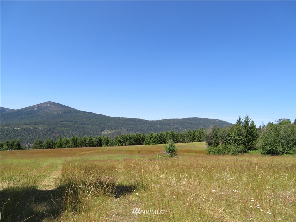 5 Bonaparte Run Road Tonasket, WA 98855 - Photo 9 of 11 Gallery Image 9