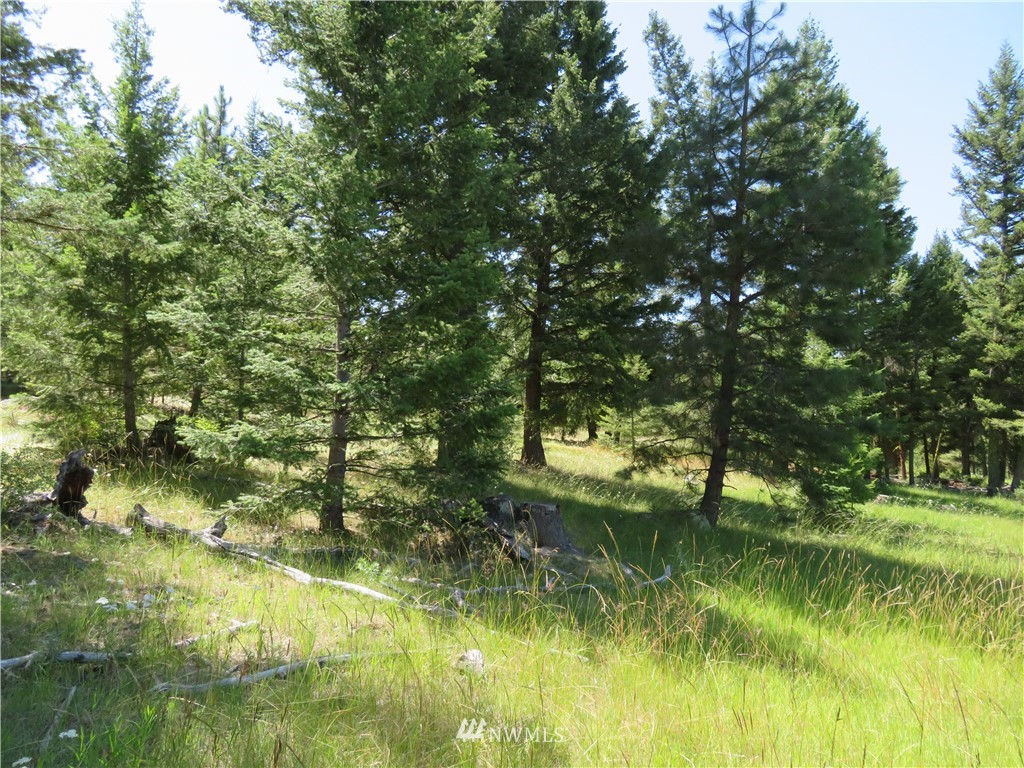 5 Bonaparte Run Road Tonasket, WA 98855 - Photo 10 of 11 Gallery Image 10
