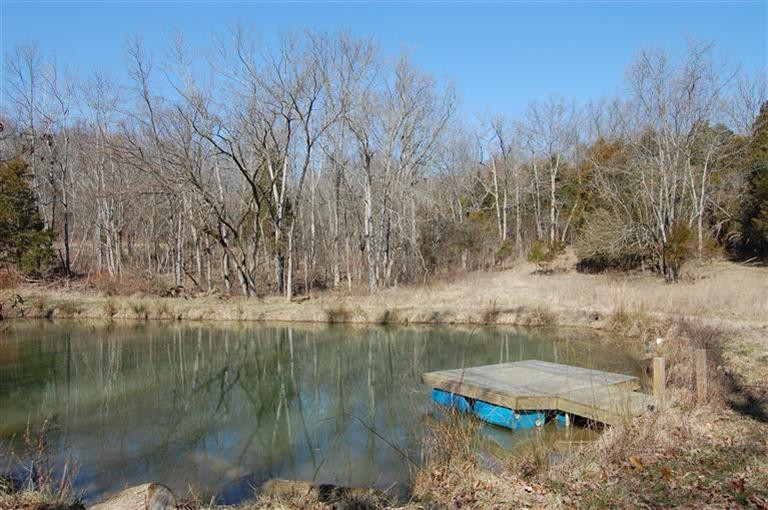587 North Dividing Ridge Road Sadieville, KY 40370 - Photo 10 of 19 Photo 10