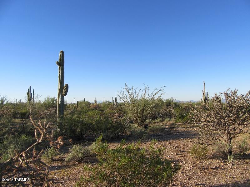 Xx South Davis Ranch Road, Unit 5AC Marana, AZ 85658 - Photo 2 of 14