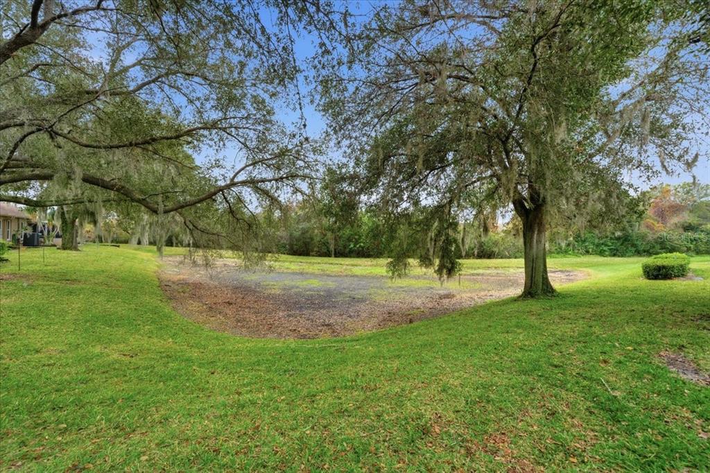 9338 Clearmeadow New Port Richey, FL 34655 - Photo 37 of 54 a view of yard with green space