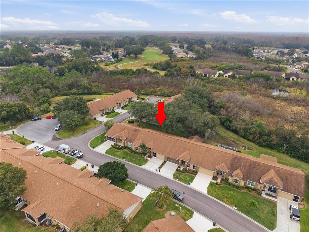 9338 Clearmeadow New Port Richey, FL 34655 - Photo 42 of 54