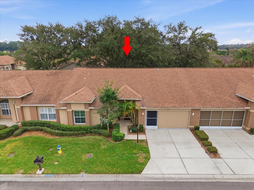 9338 Clearmeadow New Port Richey, FL 34655 - Photo 43 of 54 front view of a house with a yard