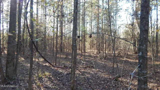 $187,000 | 4561 Ennis Road, Starkville, MS 39759