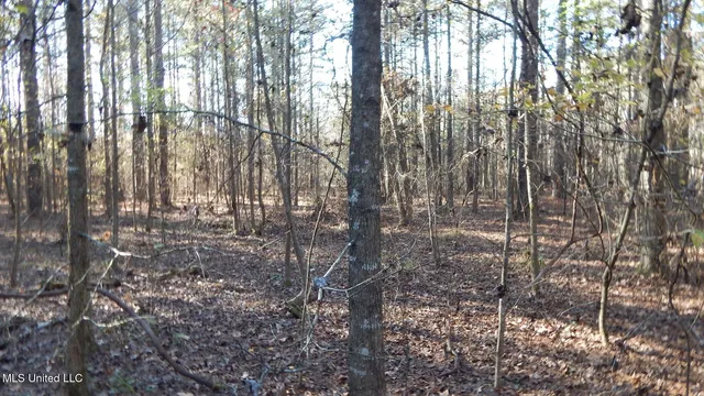 $187,000 | 4561 Ennis Road, Starkville, MS 39759