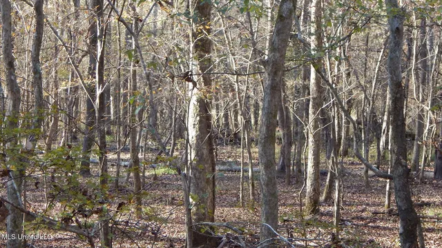 $187,000 | 4561 Ennis Road, Starkville, MS 39759