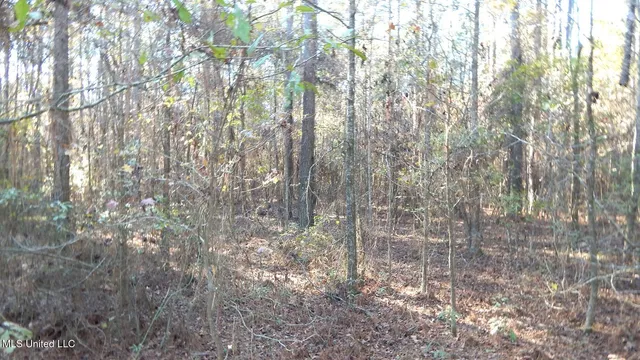 $187,000 | 4561 Ennis Road, Starkville, MS 39759