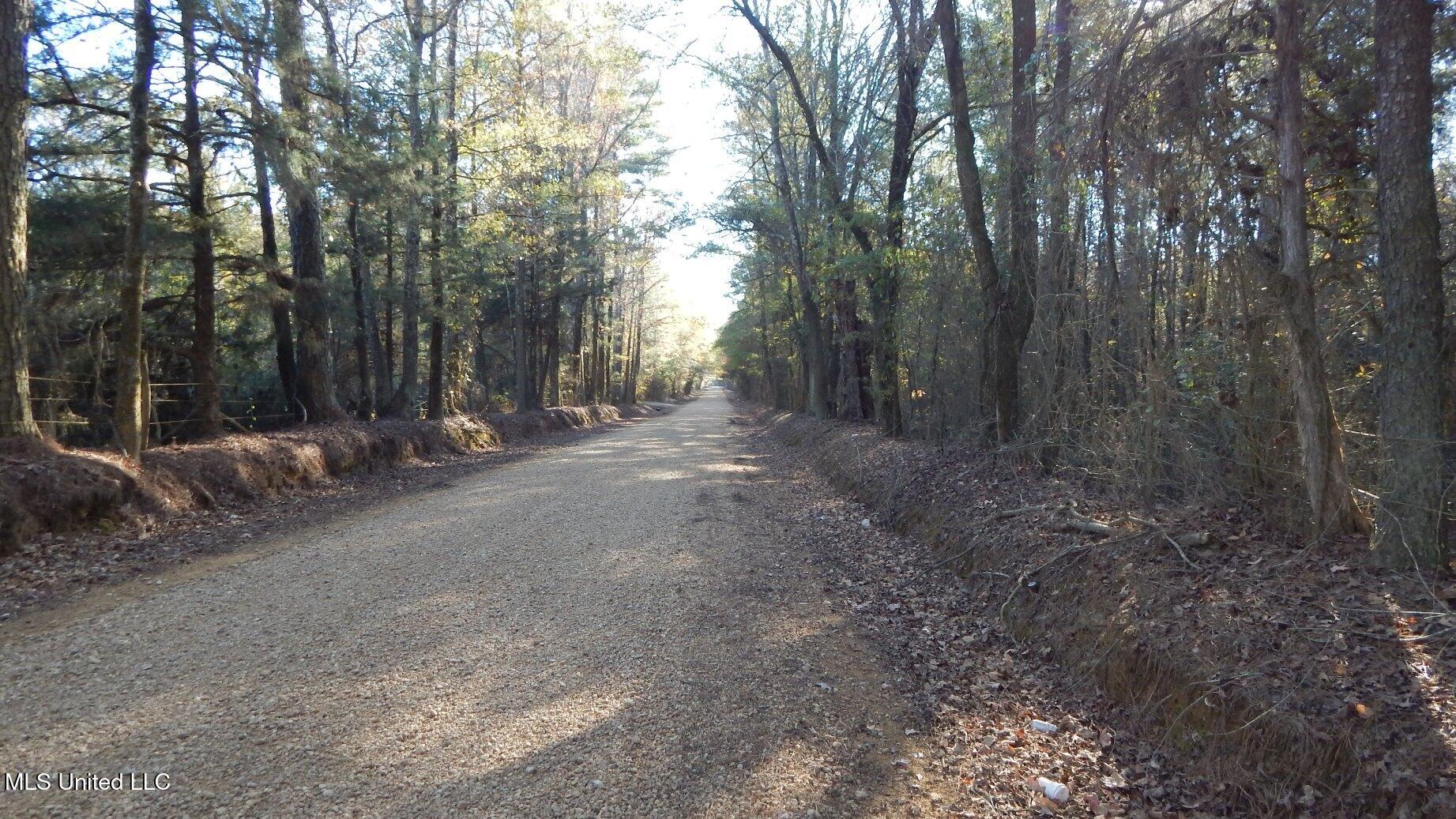 4561 Ennis Road Starkville, MS 39759 - Photo 5 of 18 DSCN6341