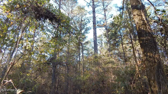 $187,000 | 4561 Ennis Road, Starkville, MS 39759