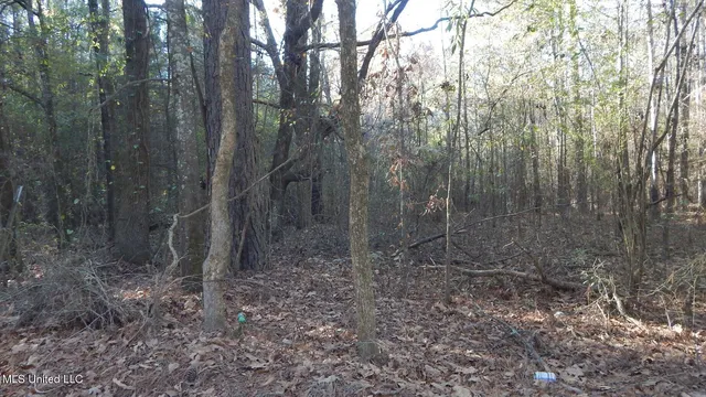 $187,000 | 4561 Ennis Road, Starkville, MS 39759