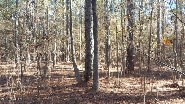 $187,000 | 4561 Ennis Road, Starkville, MS 39759