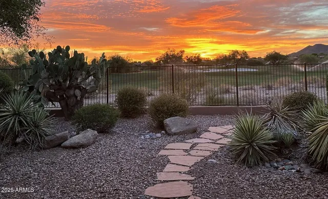 a view of a backyard