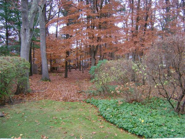 26 Fuller Road Wayland, MA 01778 - Photo 18 of 23 Gallery Image 18