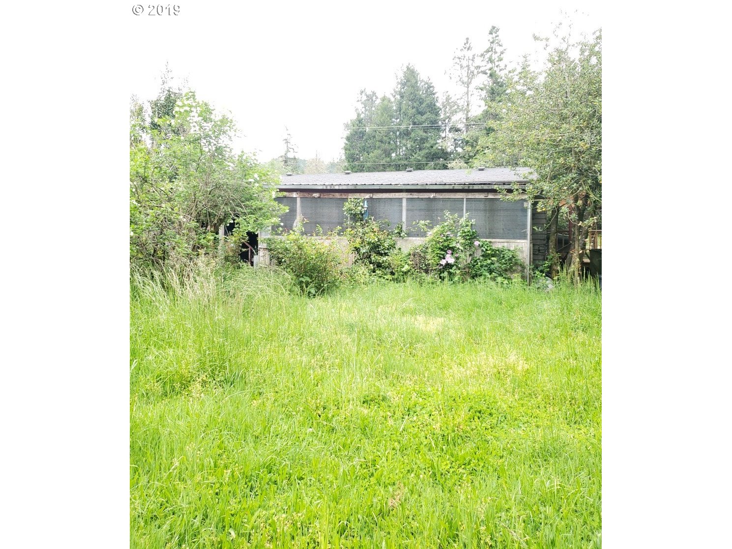 3195 Glenbrook Loop Road Riddle, OR 97469 - Photo 3 of 5