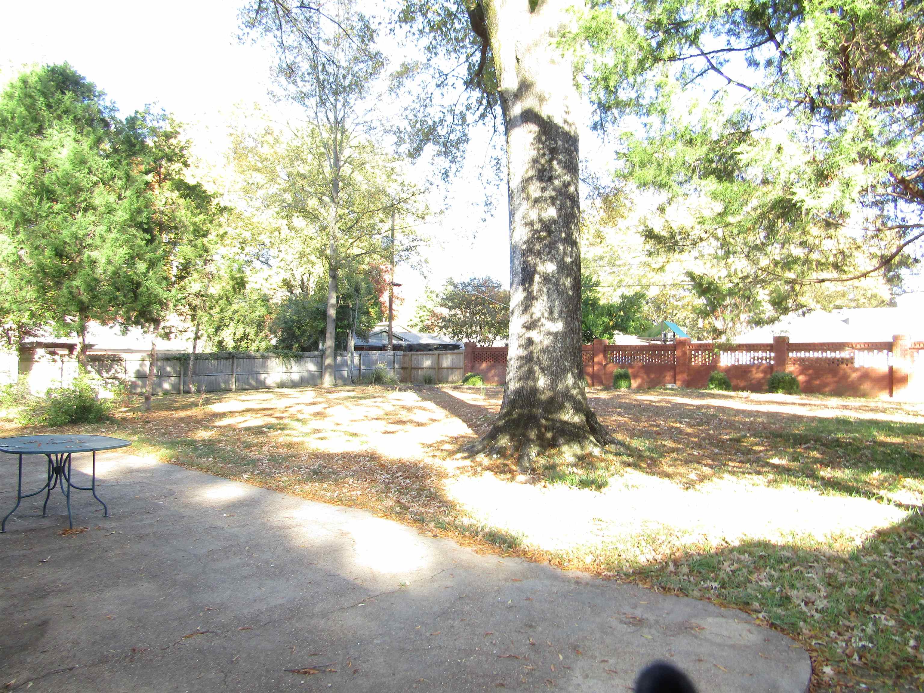 244 South Grove Park Road Memphis, TN 38117 - Photo 4 of 16 a view of yard with trees