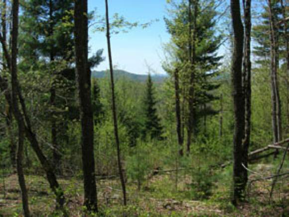 2 Cyr Road Littleton, NH 03561 - Photo 1 of 1