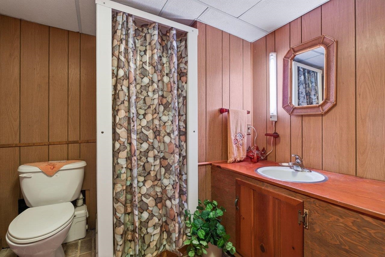 9625 Town Hall Road McGaheysville, VA 22840 - Photo 47 of 65 a bathroom with a toilet a sink and a mirror