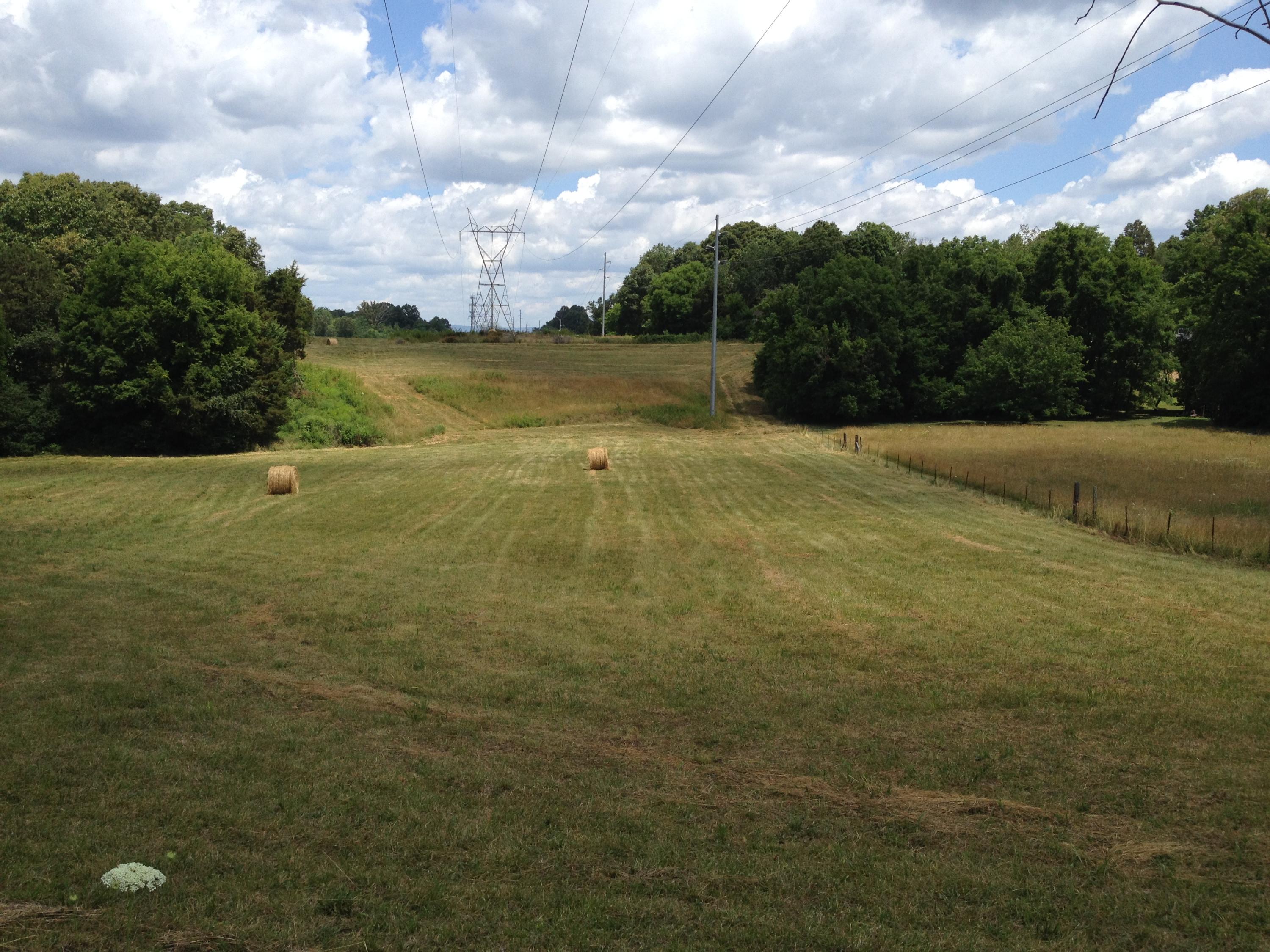 Off Friends Station Road New Market, TN 37820 - Photo 1 of 40 IMG_4298
