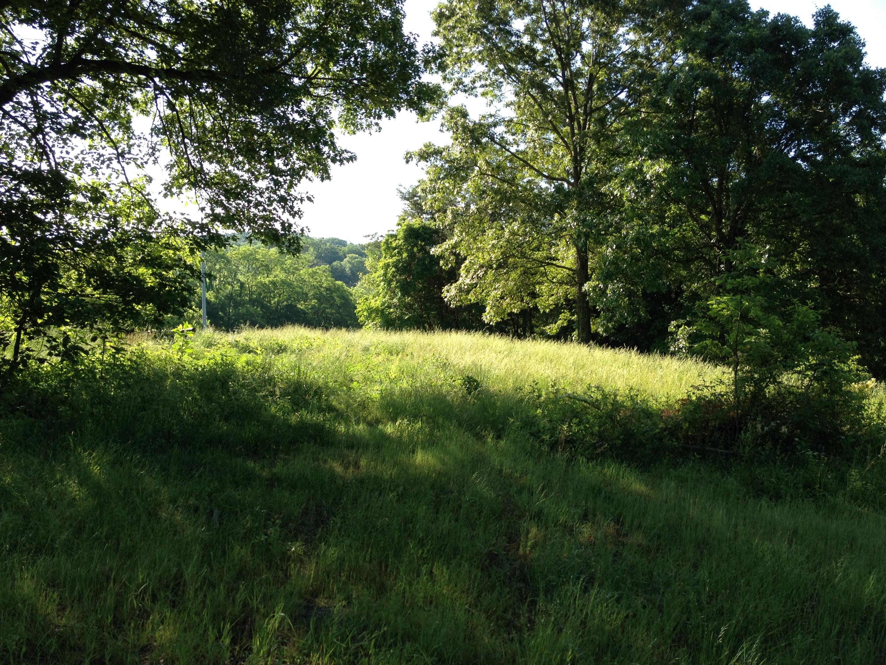Off Friends Station Road New Market, TN 37820 - Photo 13 of 40 IMG_4139