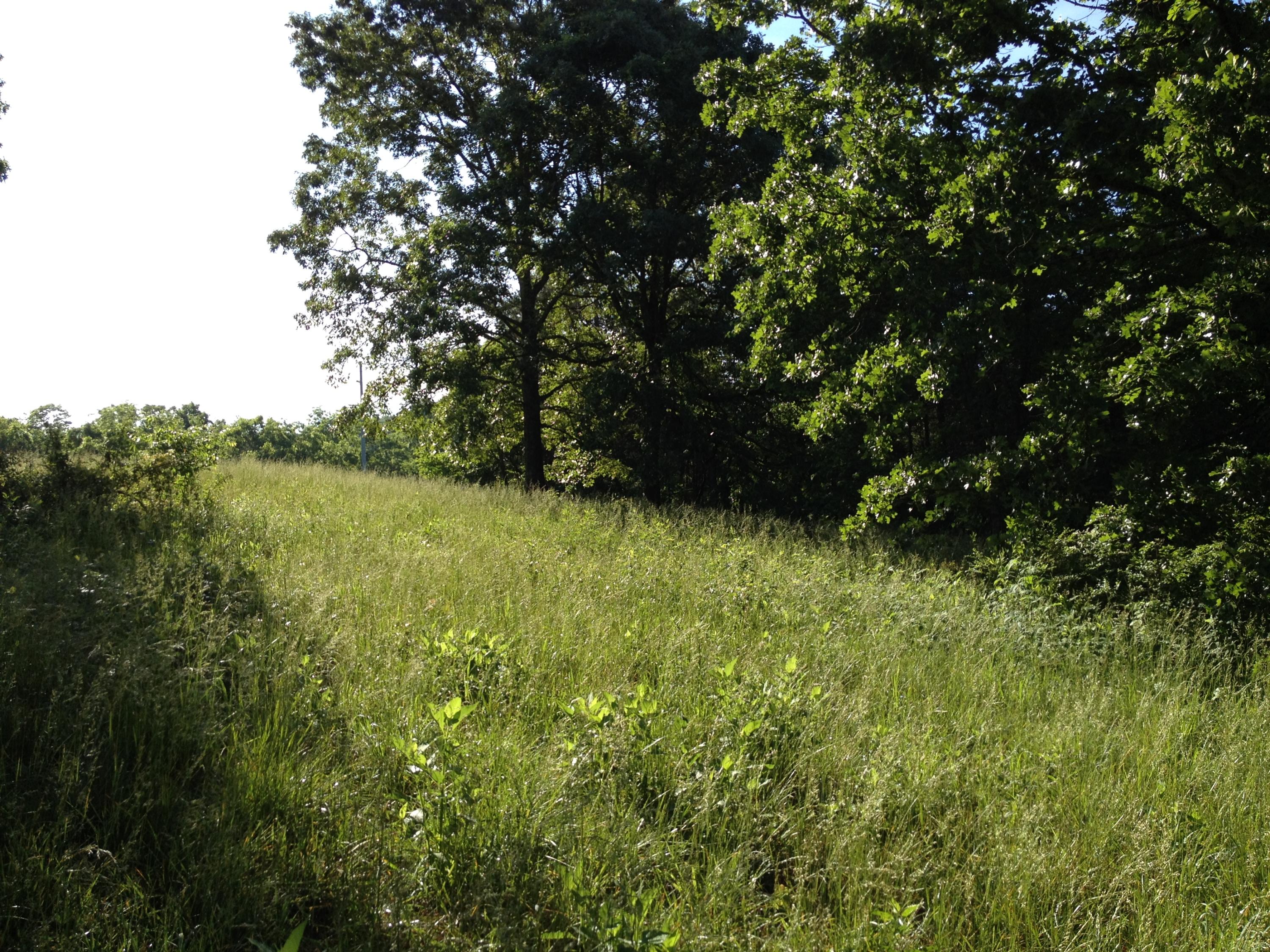 Off Friends Station Road New Market, TN 37820 - Photo 17 of 40 IMG_4143