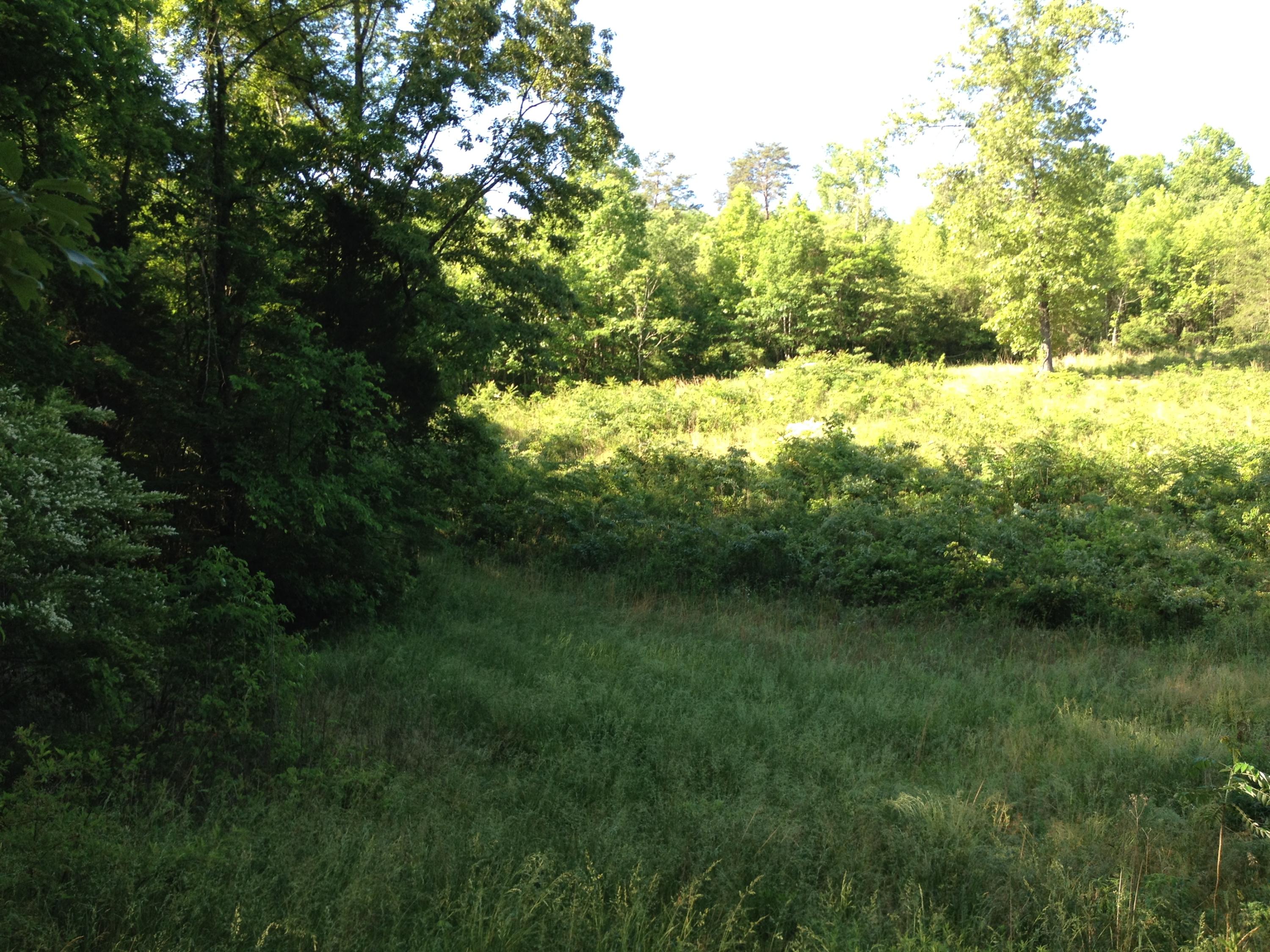 Off Friends Station Road New Market, TN 37820 - Photo 21 of 40 IMG_4147