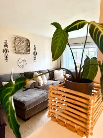 a bathroom with a sink a mirror and a toilet