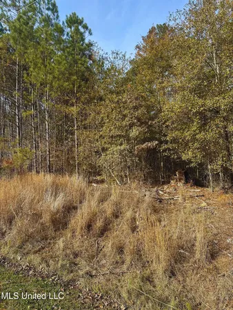 $224,000 | 164 Walter Payton Lane, Ridgeland, MS 39157