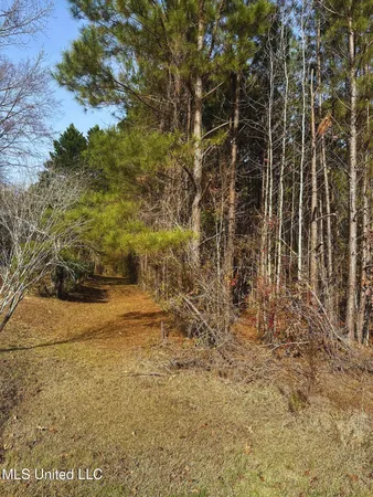 $224,000 | 164 Walter Payton Lane, Ridgeland, MS 39157