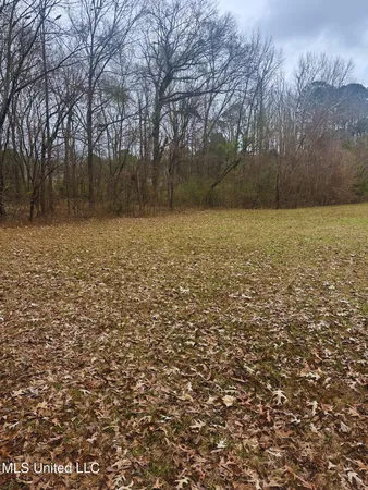 $224,000 | 164 Walter Payton Lane, Ridgeland, MS 39157