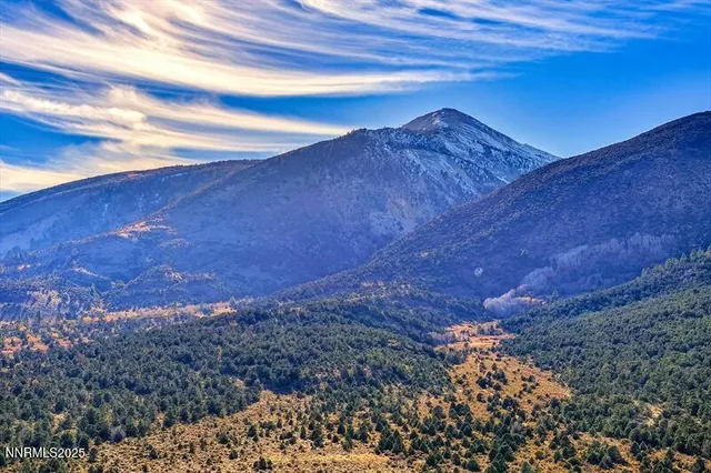 a kitchen with stainless steel appliances granite countertop a stove a sink dishwasher and a refrigerator