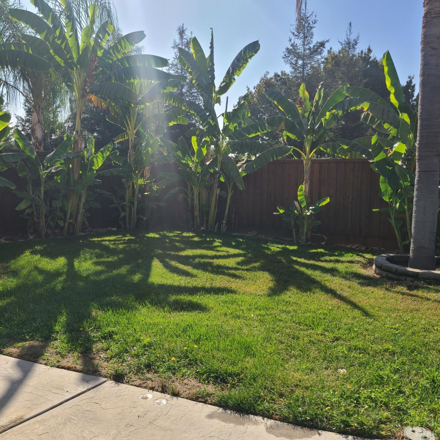 25 South Cornucopia Road Exeter, CA 93221 - Photo 43 of 64 Gallery Image 43