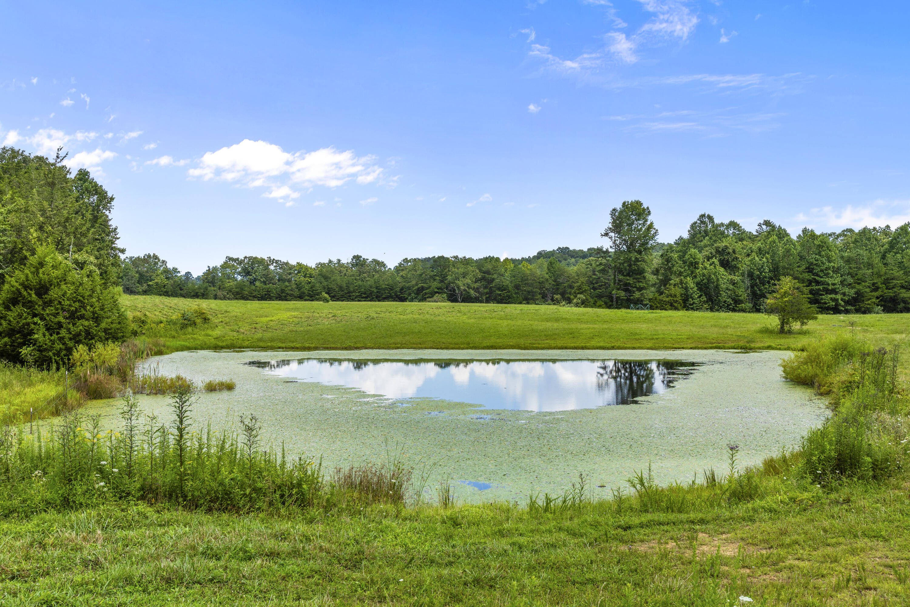 5119 Shoemaker Ridge Zoe, KY 41397 - Photo 44 of 46 I82A4121