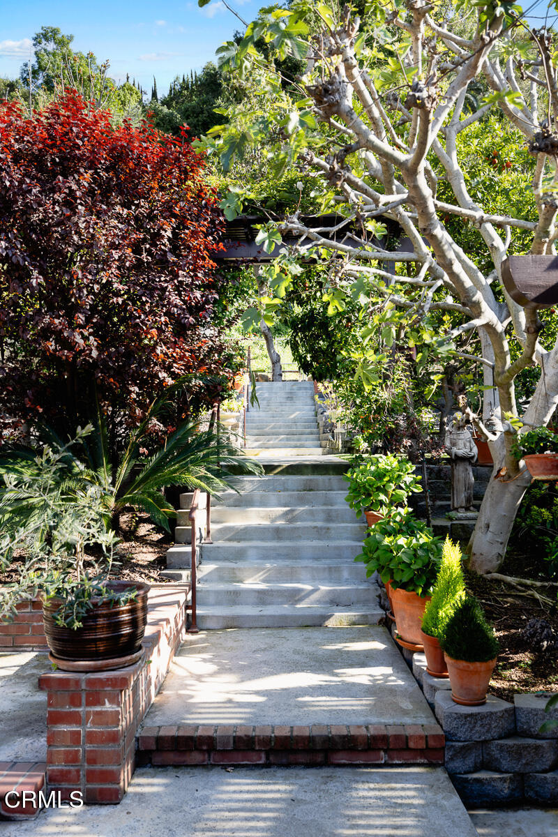 201 Monterey Road South Pasadena, CA 91030 - Photo 36 of 60 a view of a garden with many potted plants